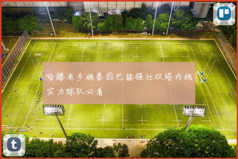 哈滕老乡施泰因巴赫强壮双塔内线实力球队必看